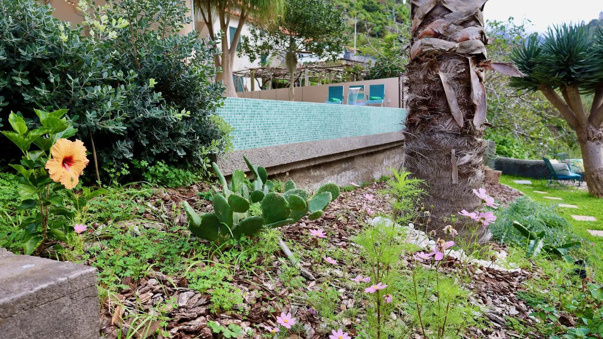 Quinta Dos Cardais By Analodges São Vicente